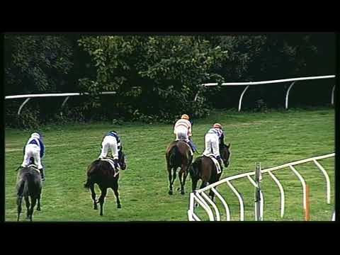 Galoppo 02/11/2020 - 2ª corsa