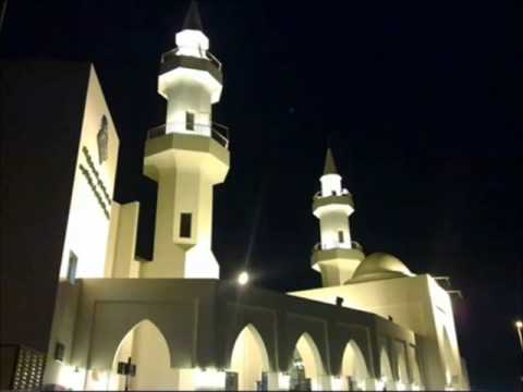 شاهد الفيديو