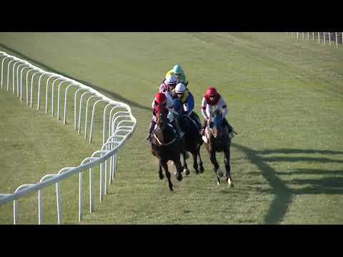 2021.10.31. 06. futam - HORÁK JÁNOS EMLÉKVERSENY HENDIKEP (II.o.)