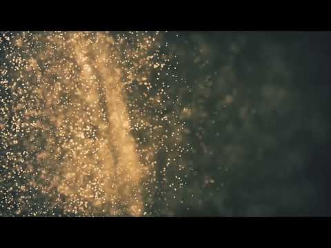 Erly Tepshi & Alberth Feat. John M - Miss You (Alberth Remix)