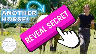 BRINGING HOME ANOTHER HORSE!? WHO IS MOVING IN? | VLOG