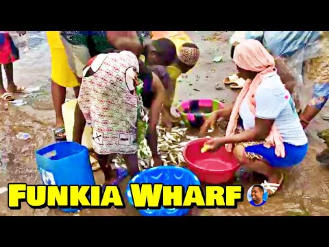 Welcome To FUNKIA WHARF|MARKET - 🇸🇱 VLog 2023 - Explore With Triple-A