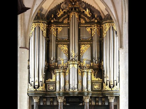 Praeludium Es-dur BWV 552  Johann Sebastian Bach  -  Cor van Wageningen -  Schnitger Organ Groningen