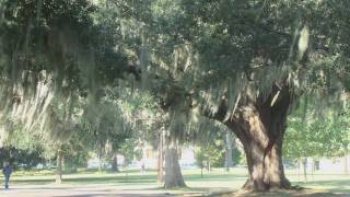 Rod Stewart - It&#39;s Not The Spotlight