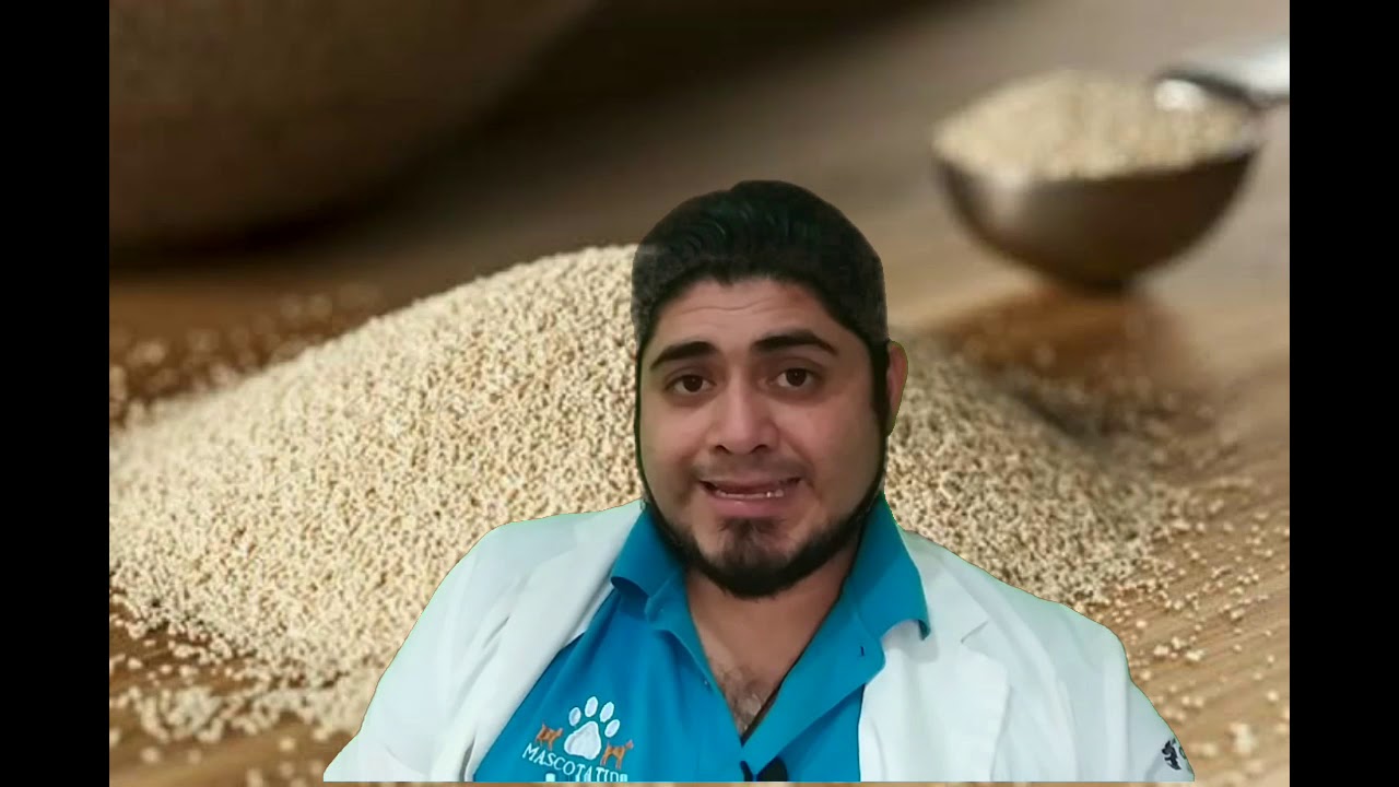 ¿Puedo darle levadura de cerveza a mi perro