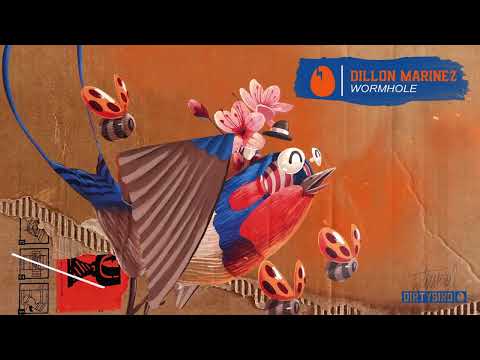 Dillon Marinez - Wormhole [DIRTYBIRD]