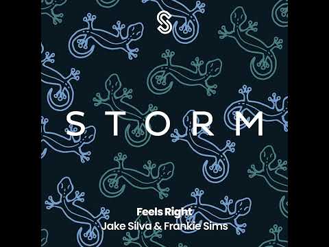 Feels Right - Jake Silva