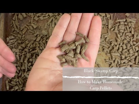 How To Make Homemade Carp Fishing Pellets
