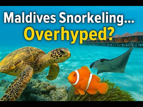 What to expect when snorkeling in a resort in the Maldives - Siyam World house reef case study