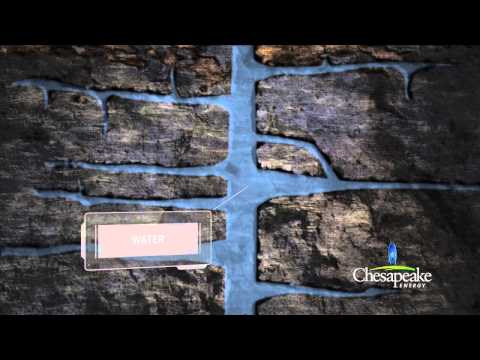 Completion Animation