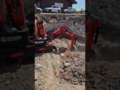 Mini escavatore Bluebird MEX 600