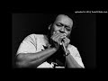 JAMES COTTON - TWO TRAINS RUNNIN'