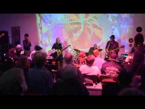 Harvey Mandel at Freddie Roulette benefit- 11-15-15