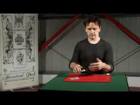 'Karnival of Terror' Explanation