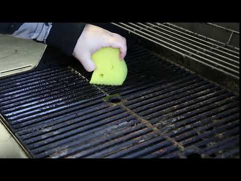 Lola Products Scrub Boss™ - comparable to the Original Scrub Daddy®