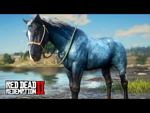 THE HORSE TAMER - Taming the BLUE NOKOTA - Red Dead Redemption 2 - 14