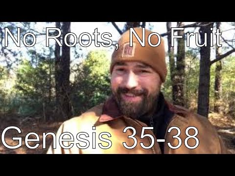 Genesis 35, 36, 37 and 38; No Roots, No Fruit