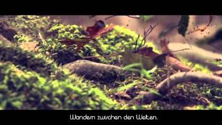 Terence McKenna - Terra Lucida