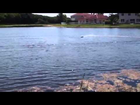 Excced racing boat electric p1