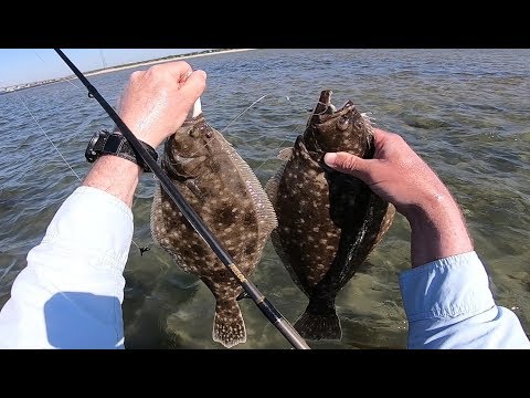Shore Wading for Summer Flounder (Fluke) - Lots of Fish!