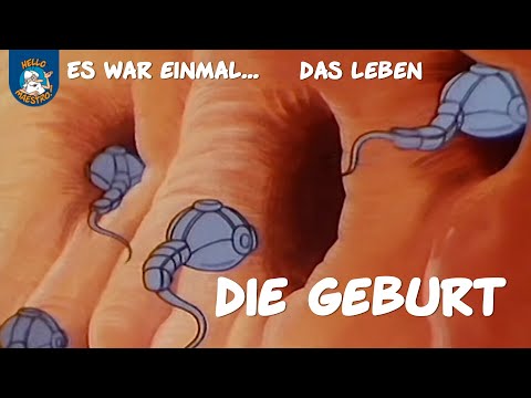 Die Geburt (Es war einmal... das Leben | Ausschnitt)