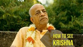 How to see Krishna || Srila Prabhupada