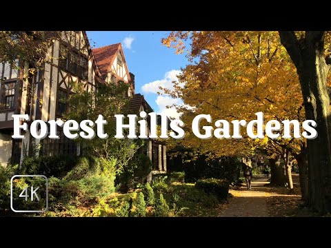 Fall in New York 2022. Best Neighborhood : Forest...