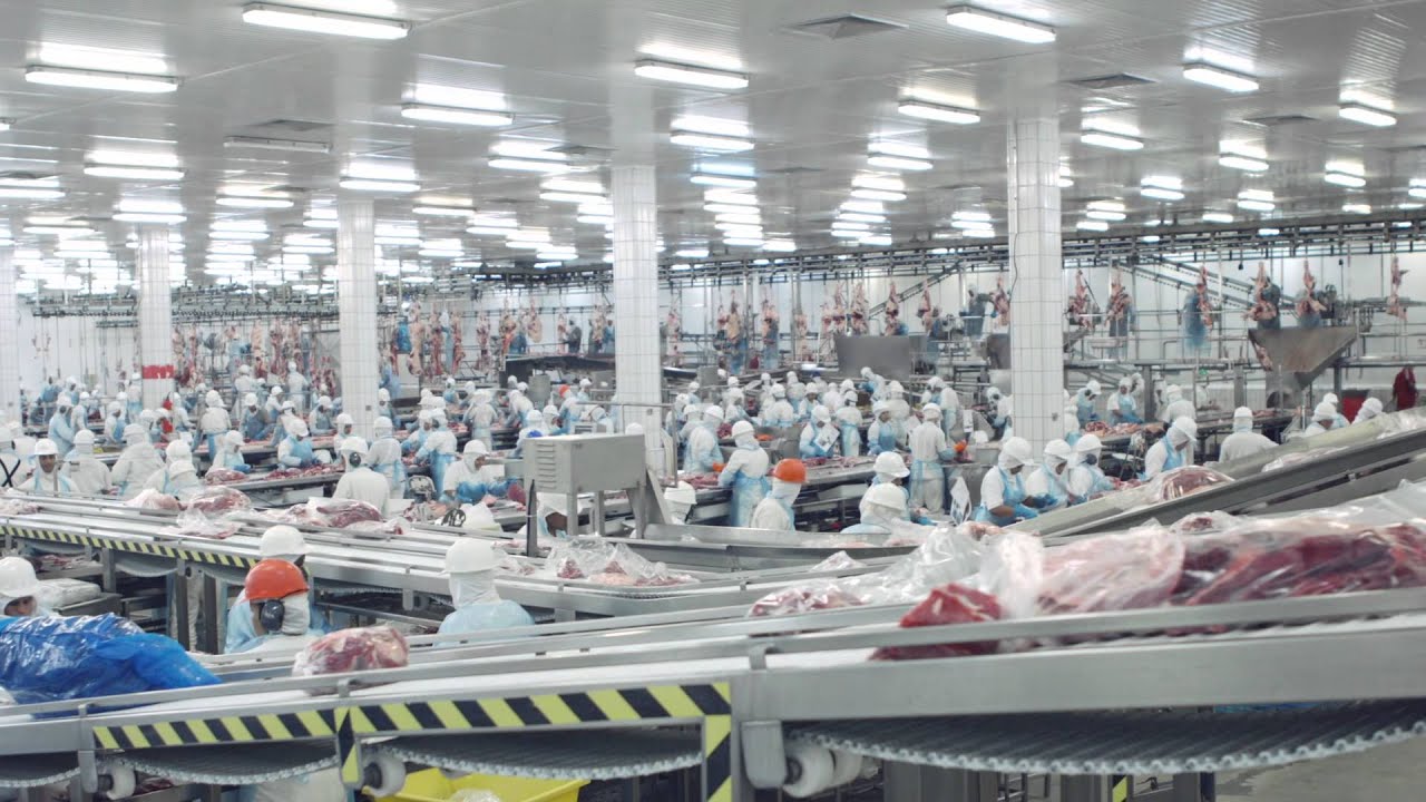 Friboi  - Visita Rodrigo Faro