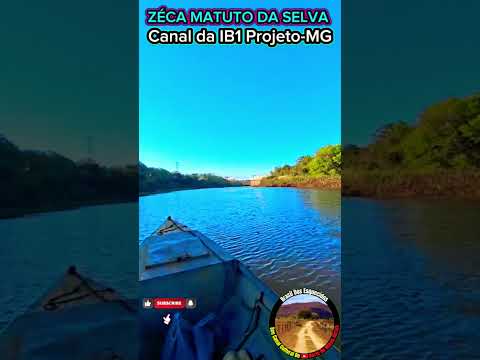 ZÉCA MATUTO DA SELVA EM CANAL IB1 PROJETO JAÍBA-MG+BRAZIL ##reportagens