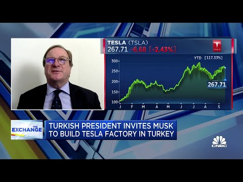 Tesla may open factories in Turkey, where Ford has a long history: Atlantic Council CEO Fred Kempe
