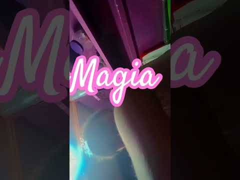 28 de janeiro de 2026