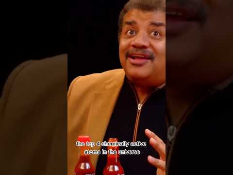 We're all special. Niel deGrasse Tyson on hot wings. #shorts #hotones #science