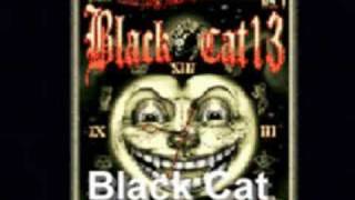 Black Cat
