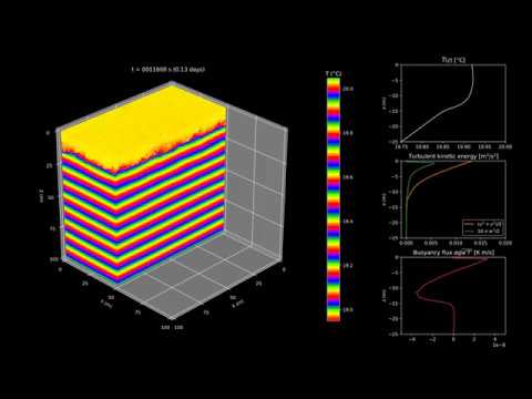 Free convection with wind stress