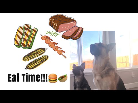 MEAL TIME W/ZEUS & ZEENA!🥙/German Shepherd