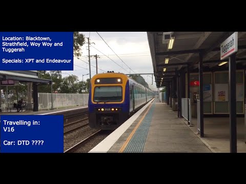 Trains at Blacktown, Strathfield, Woy Woy and Tuggerah