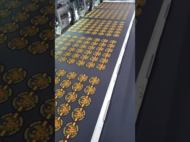Vídeo relacionado con ELITRAINX Parche Bordado de Bandera de Comunidades de España con parte trasera de gancho y bucle (Andalucia)