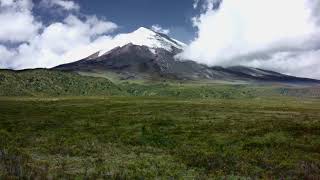 Belly - Shiny One:: Eyeguanasee Music Video