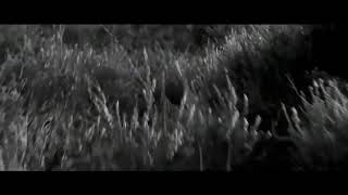 Alice Wonder - Bajo La Piel