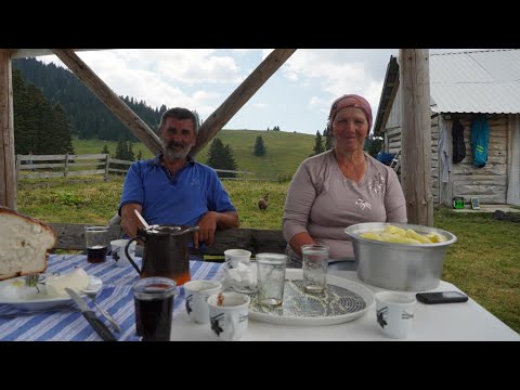 NA VLAŠIĆU SVE VIŠE MEDVJEDA A SVE MANJE  OVACA