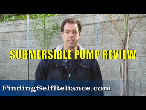 Wayne 1/6 hp Submersible Utility Pump Review
