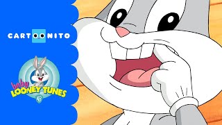 Baby Looney Tunes | Baby Tooth | Cartoonito UK