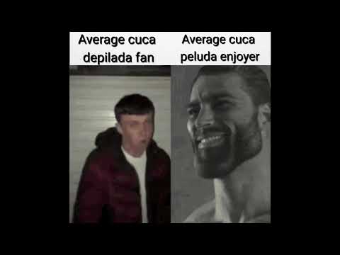 Average cuca depilada fan vs Average cuca peluda enjoyer
