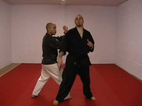 CASA DE KENPO - BROWN BELT - DESTRUCTIVE FANS