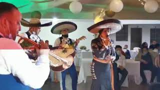 Video de Mariachi Juvenil Luna de México