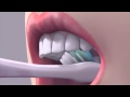 How To Brush Your Teeth