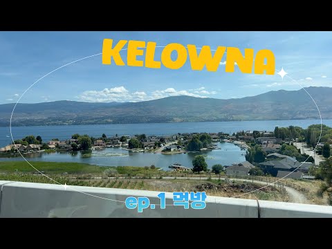 🇨🇦 먹방 여행 함께 떠나요 #kelowna -  Yoon’s VLOG