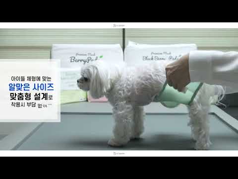 Thin By Berry Refillable Diaper Pad Small/Medium Size