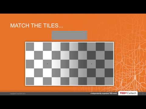 Neural Computation: Markus Meister at TEDxCaltech