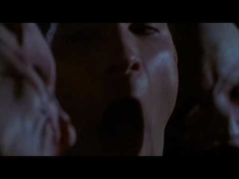 Wilhelm Everywhere Project - Hellraiser 4